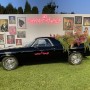 img 4592